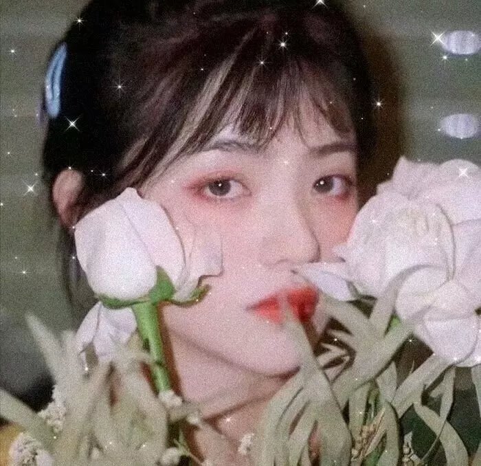 春花秋月未了情